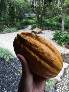 Great Hostels Amazon