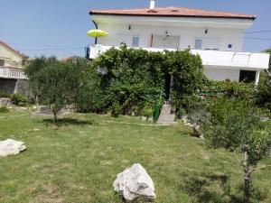 Apartments Markas - pet friendly