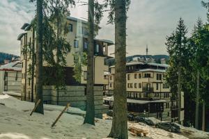 Green Life Family Apartments Pamporovo