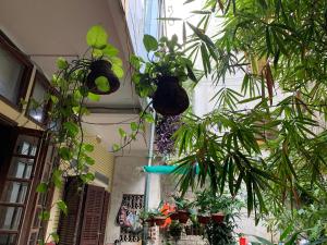 Halo Bay Homestay