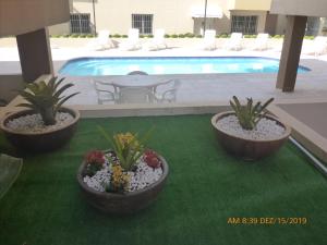 Apartamento Capão Novo