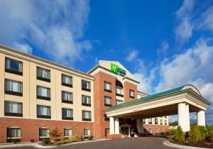 Holiday Inn Express Hotel & Suites Detroit-Utica by IHG - Shelby