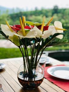 Parisons Plantation Experiences by Abad