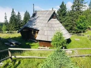 Chalet Gasparjeva Velika Planina - 卡姆尼克