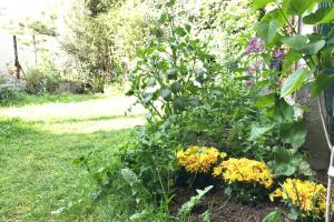 JAZZAPPART appartement classé 3 étoiles