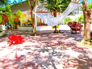 Papaya Guest House Nungwi