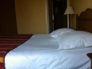 Hotels Hostellerie de Pavillon Saint-Hubert : photos des chambres
