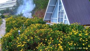 Tuyết Hoa Hòn Bồ Homestay