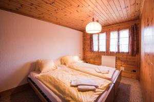 Chalet Bergwelt - Panoramic view