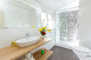 Apartments & Room Libar