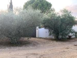 Maisons de vacances Gite Chez Un Producteur de Fruits. : photos des chambres