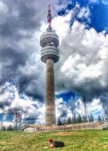 Guest Rooms Metaksinovi
