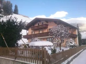 Ferienwohnungen Andreas Hofer - Tux