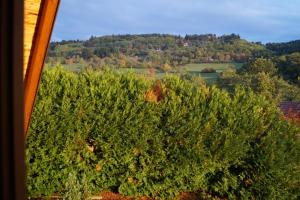 Maisons de vacances Gites du Taennchel : photos des chambres