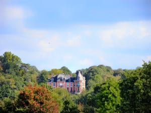 B&B / Chambres d'hotes Chateau de Chantore : photos des chambres