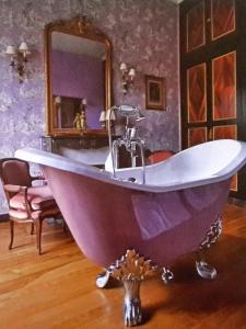 B&B / Chambres d'hotes Chateau de Chantore : photos des chambres