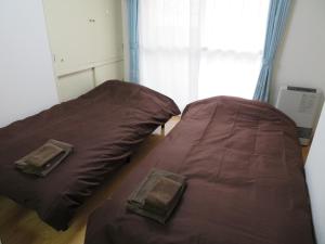 札幌市中心部大通公園まで徒歩八分観光移動に便利なロケーションe507#28