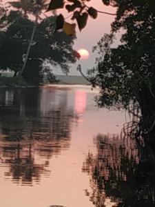 Marari Secret Beach Yoga & Kalarippayattu Homestay