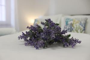 Love Apartment Rovinj 