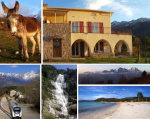 Appartements 95m2 au calme a 25mn AJACCIO, plages, linge inclus parking ok : photos des chambres