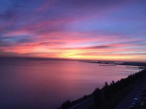 Private Lodge on Houseboat Amsterdam