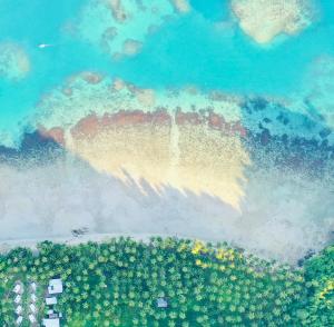 Mariejoy Haven Beach Resort