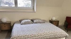 Appartements Gite Le Vintage Mulhouse : photos des chambres