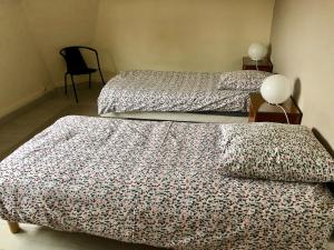 Appartements Gite Le Vintage Mulhouse : photos des chambres