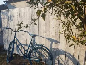 Lovely countryside cottage - Bîltişoara