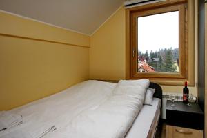 Zlatibor Apartments NIKS