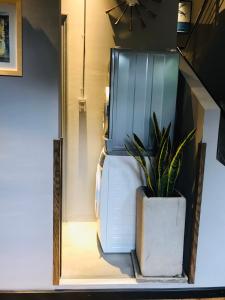 Lim Concept - Lim Blue