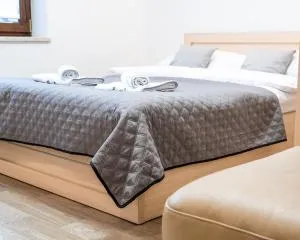 Apartament Relax - 斯卡维纳