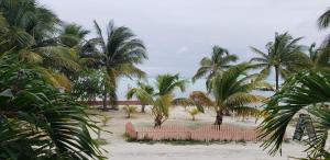 Caye Caulker Condos