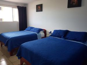 Hotel Grosseto Palma Real