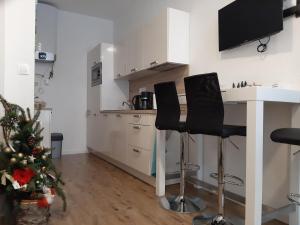 Apartmán Plesnivec