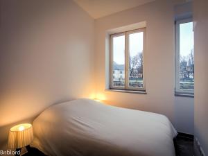 Appartements Le Dunant : photos des chambres