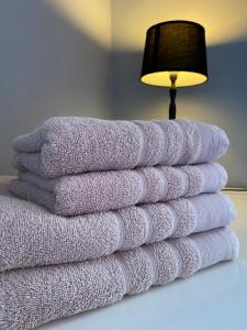 Maisons de vacances Romance au coeur de Bordeaux / Jardin Public : photos des chambres