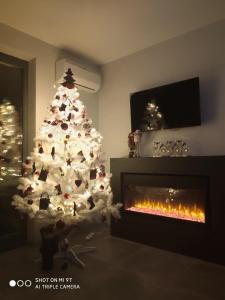 Reef Terrace Apartments