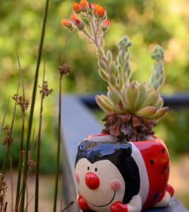 Friends at McLaren Vale