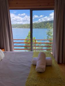 Cabañas Borgolafquen