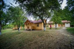 Jugendzentrum Seligstadt - Stejărişul