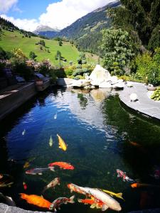 Ferienwohnung Waltensburg