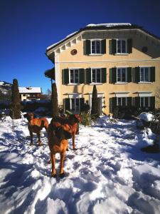 Ferienwohnung Waltensburg