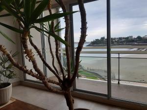 Appartements DINARD : photos des chambres