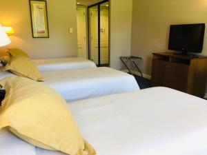 San Miguel Plaza HotelInclusive