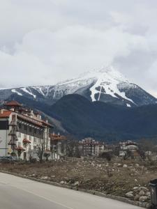 Тодор Прегьов