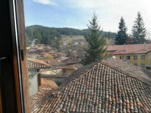 Guest House Terziiski