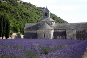 Hotels Hotel Les Bories & Spa : photos des chambres