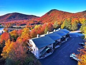 Holiday Home room in Charming Townhome Pico Mtn Ski-In and Ski-Out Access!