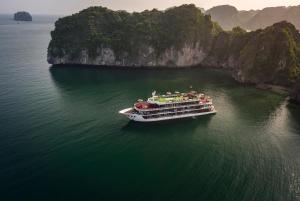 Dora Cruise by HAG